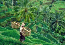 Day Tours BL-DT-LGN-E 4 ubud_4